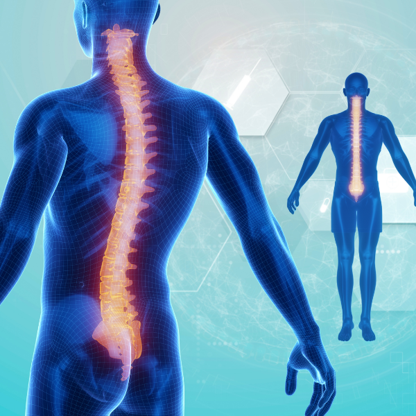 Minimally Invasive Spine Workshop